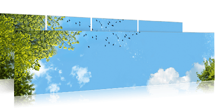 Wolkenplafond fotodesign: 'Tree bird sky' Natuurlijke buiten omgeving creëert rust en inspiratie