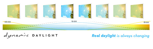 Dynamisch daglicht heeft een natuurlijk verloop van de kleur LEDverlichting.