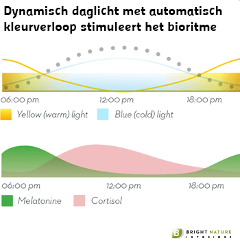 Dynamic Daylight stimulates Biorhythm