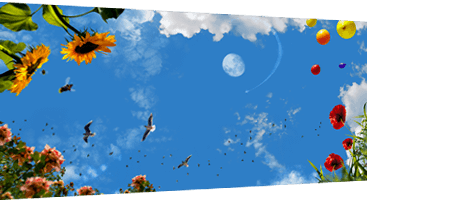 Wolkenplafond fotodesign: 'Ballon naar de maan' Met veel details. Echt iets voor tandarts en mondhygeniesten