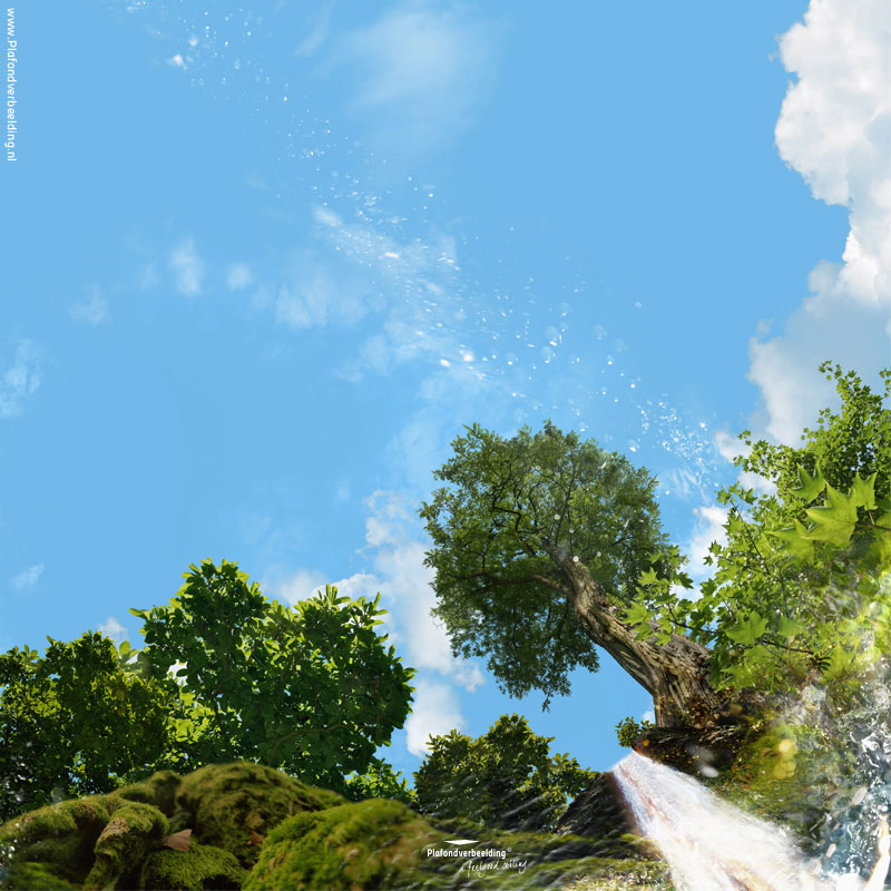 Wolkenhemel plafond: 'Rising tree waterfall' 