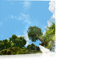 Wolkenplafond fotodesign: 'Rising tree waterfall' Simulatie van natuur geneest.