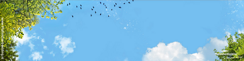 Wolkenplafond fotodesign: 'Tree bird sky' Inrichting voor bedrijven met wolkenhemel plafonds. 