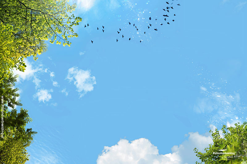 Wolkenhemel plafond: 'Tree bird sky' 