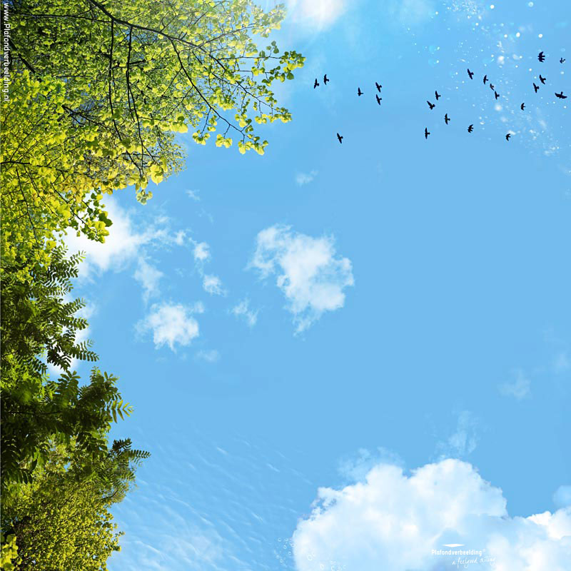 Wolkenhemelplafond: 'Tree bird sky' 