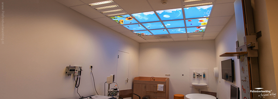 Systeemplafond met uitzicht op natuur. Verlichte plafond foto's met daglicht-effect. Designplafond met LED panelen voor healing environment interieur.  