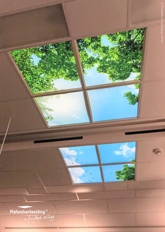 Innovatieve inrichting met natuurbeleving: Plafonds met daglicht simulatie en uitzicht op wolken en natuur.
