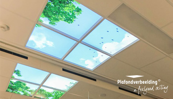 Innovatieve inrichting met natuurbeleving voor plafonds en verlichting met daglicht simulatie.