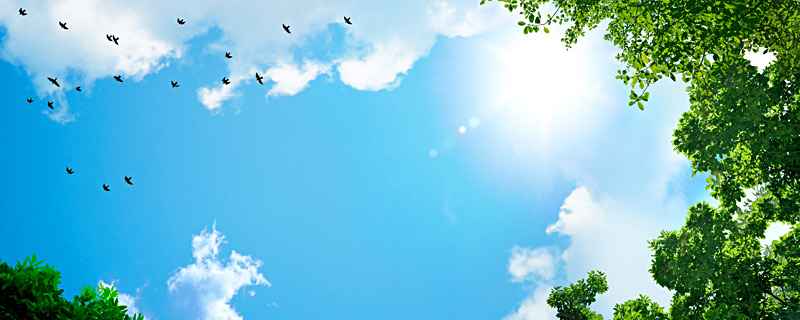 Wolkenplafond fotodesign: 'Up from the skies' 
