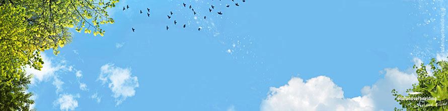 Wolken fotoplafond: 'Tree Bird Sky' Uitzicht op natuur is gezond