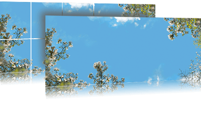 Wolkenplafond fotodesign: 'Magnolia sky' 